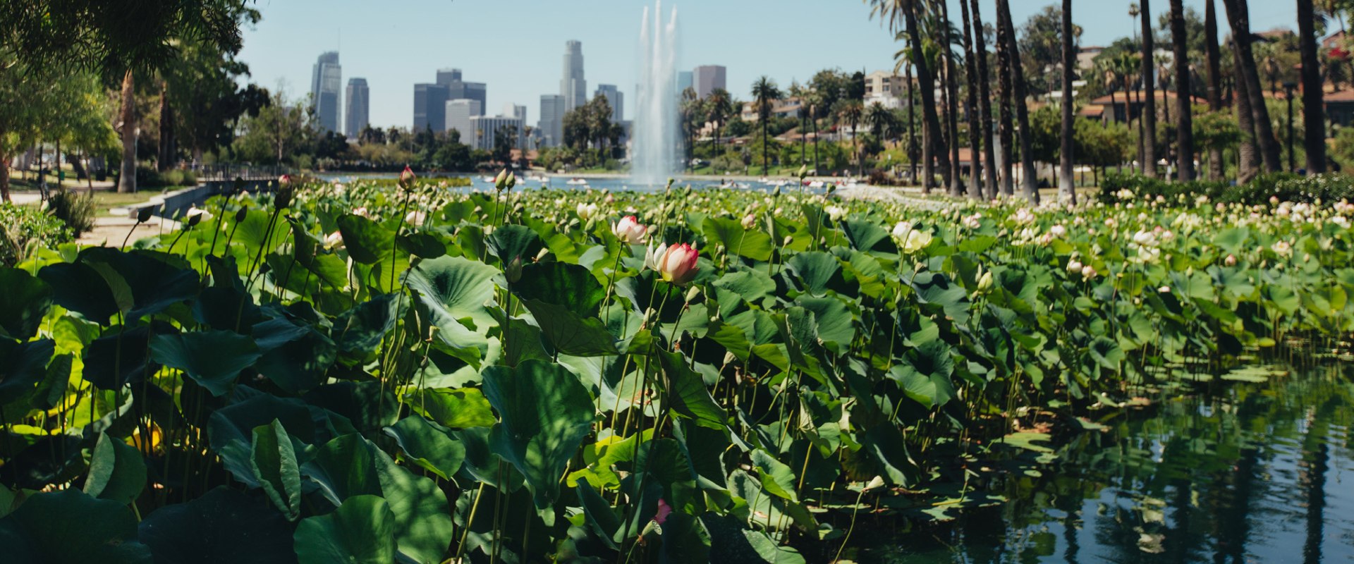 The Digital Evolution of Memorial Parks in Los Angeles County, CA
