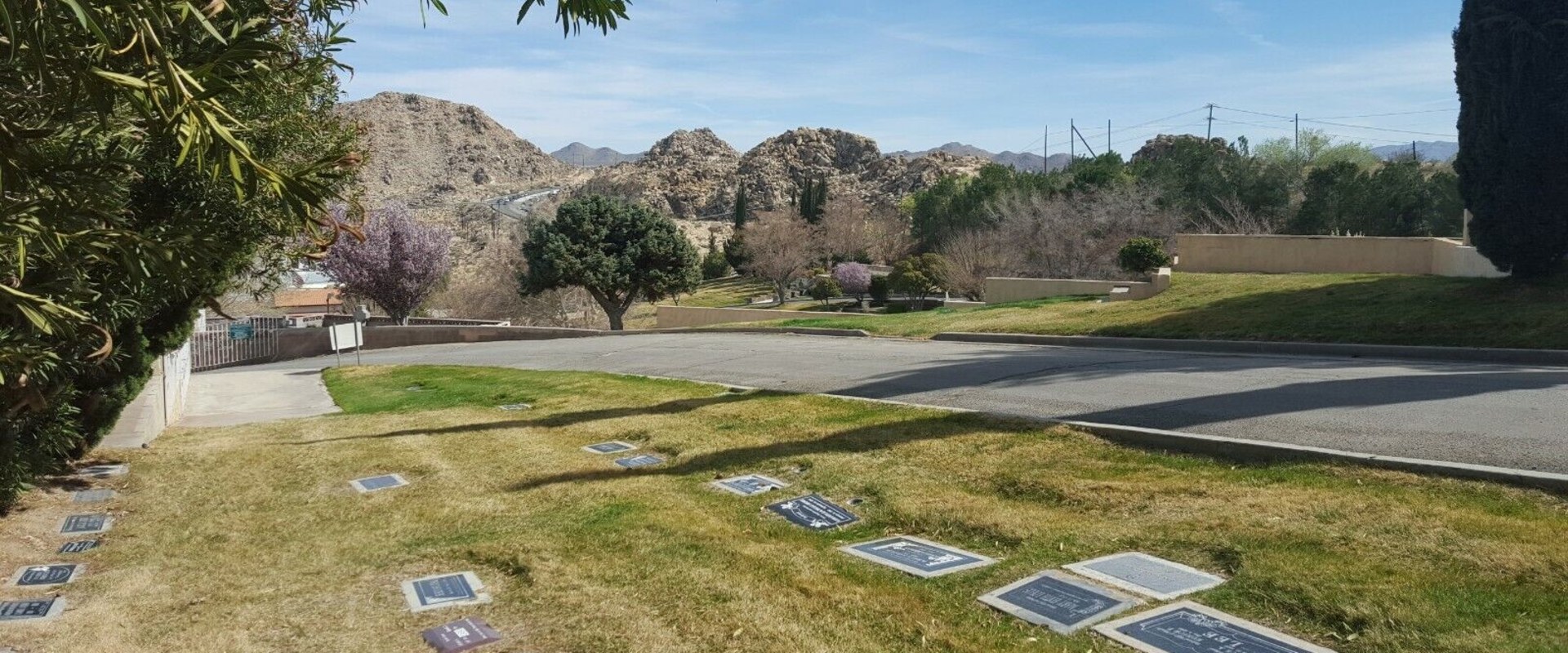 The Insider's Guide to Burial Plots in Los Angeles County, CA