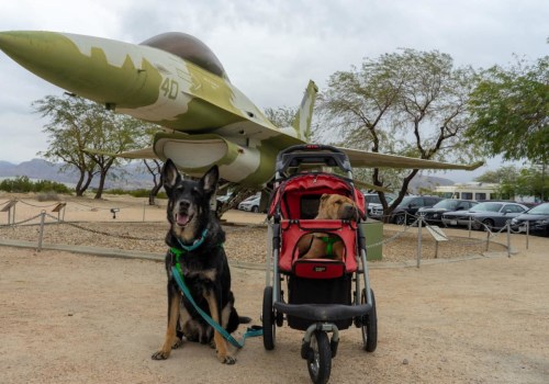 The Sensitive Topic of Pets Visiting Memorial Parks in Los Angeles County, CA